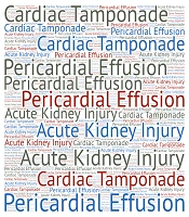 Acute Kidney Injury Secondary to Cardiac Tamponade Caused by Severe Pericardial Effusion: A Case Report