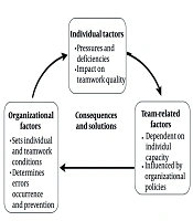 A Qualitative Study of Factors Contributing to Medical Errors in Cardiac Surgery: Perspectives of Iranian Specialists