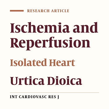 Protection of Ischemic and Reperfused Rat Heart by Aqueous Extract of Urtica Dioica