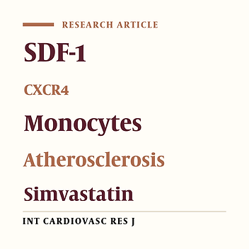 Disruption of Stromal-Derived Factor-1/Chemokine Receptor 4 by Simvastatin