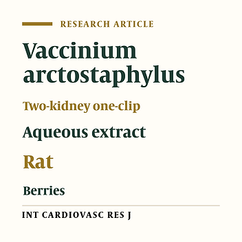 The Aqueous Extract of Vaccinium Arctostaphylus Berries Decreases Blood Pressure in Rat Model of Two-Kidney, One-Clip Renal Hypertension