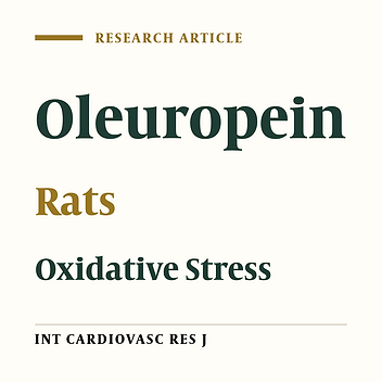 Effects of Oleuropein on Endothelial Functions in Aortas of Rats with Chronic Myocardial Infarction