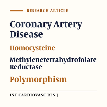 The Severity of Coronary Artery Disease and Methylenetetrahydrofolate Reductase (MTHFR) Enzyme Gene Polymorphism