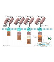 Chimeric Antigen Receptor T-Cell Therapy: An Overview of the Changing Face of Cancer Immunotherapy