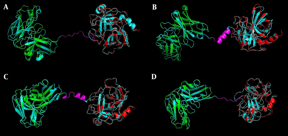 A, B, C, and D, The superimposed structures of Hu63-(G4S)3-GrB, Hu63-AEAAAKEAAAKA-GrB, Hu63-EGKSSGSGSESKST-GrB, and Hu63-PTPPTTPT-GrB, respectively, as aligned with their building components, HuFMC63 and GrB. The antibody conjugates are represented in cyan with their different linker peptides in magenta, HuFMC63 in green, and GrB in red. A, B, C, and D, The superimposed structures of Hu63-(G4S)3-GrB, Hu63-AEAAAKEAAAKA-GrB, Hu63-EGKSSGSGSESKST-GrB, and Hu63-PTPPTTPT-GrB, respectively, as aligned with their building components, HuFMC63 and GrB. The antibody conjugates are represented in cyan with their different linker peptides in magenta, HuFMC63 in green, and GrB in red.