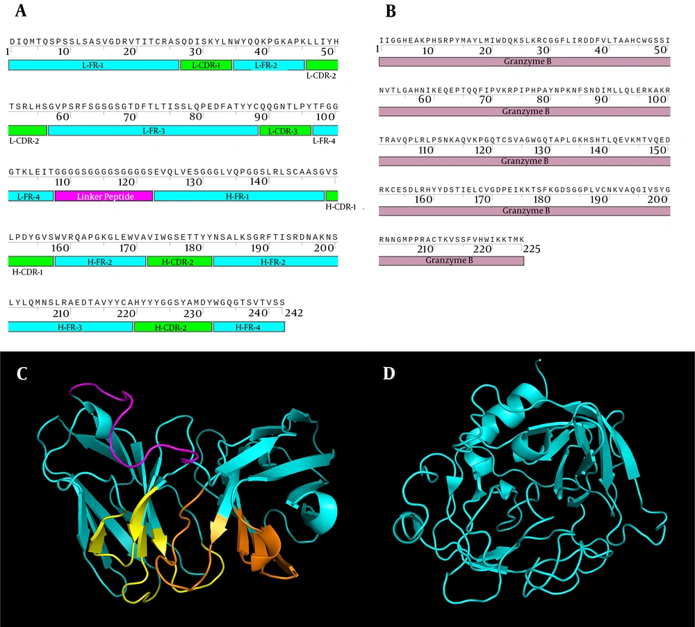 The amino acid sequences and the 3D structure of HuFMC63 and GrB. A and B, The amino acid sequence of HuFMC63 and GrB, respectively; C and D, The 3D structure of HuFMC63 and GrB, respectively. The framework regions of HuFMC63 are represented in cyan, the CDRs of the light and heavy chain in yellow and orange, respectively, and the (G4S)3 linker peptide in magenta. L, light chain; H, heavy chain; FR, framework region; CDR, complementarity-determining regions. The amino acid sequences and the 3D structure of HuFMC63 and GrB. A and B, The amino acid sequence of HuFMC63 and GrB, respectively; C and D, The 3D structure of HuFMC63 and GrB, respectively. The framework regions of HuFMC63 are represented in cyan, the CDRs of the light and heavy chain in yellow and orange, respectively, and the (G4S)3 linker peptide in magenta. L, light chain; H, heavy chain; FR, framework region; CDR, complementarity-determining regions.