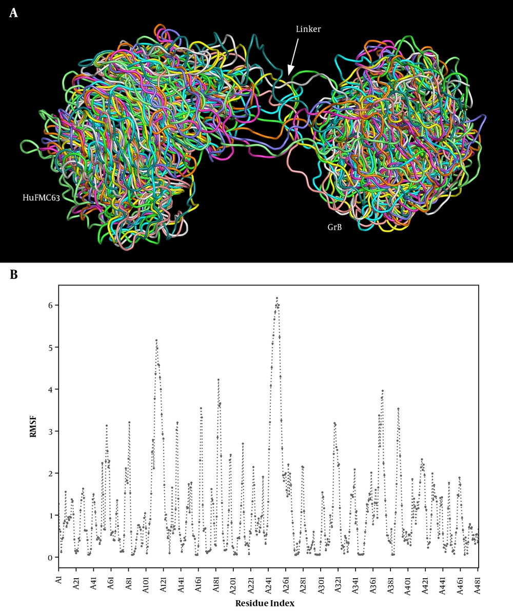 The flexibility simulation of Hu63-(G4S)3-GrB. A, The ribbon mode superimposition of the ten simulated structure of Hu63-(G4S)3-GrB achieved after the completion of the simulation run with each 3D model represented in a different color; B, The RMSF (Å) plot of Hu63-(G4S)3-GrB in relation to the residue numbers of the construct. The flexibility simulation of Hu63-(G4S)3-GrB. A, The ribbon mode superimposition of the ten simulated structure of Hu63-(G4S)3-GrB achieved after the completion of the simulation run with each 3D model represented in a different color; B, The RMSF (Å) plot of Hu63-(G4S)3-GrB in relation to the residue numbers of the construct.