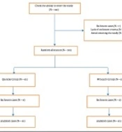 Assessment of Postdural Puncture Headache in Women Under Elective Cesarean Section: A Randomized Trial Study