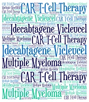 Idecabtagene Vicleucel: The Ultimate CAR T-Cell Therapy for Multiple Myeloma?