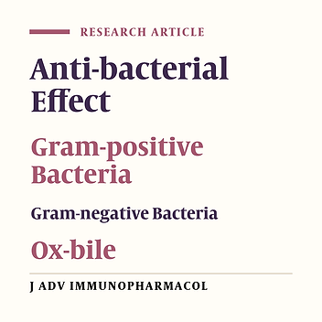 In Vitro Anti-bacterial Effect of Ox-bile Against Some Important Gram-positive and Gram-negative Bacteria