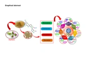 Pharmacokinetics and Therapeutic Potential of Milk Thistle Extracted Phytoconstituents: A Leading Role in Cancer Treatment