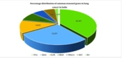 Targeted Molecular Profiling of Non-small Cell Lung Cancer in India