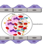 NETosis and SARS-COV-2 Infection-Related Autoimmunity: A Narrative Review