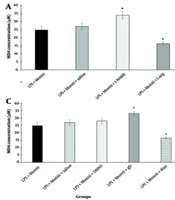 J Adv Immunopharmacol