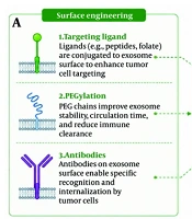 Engineered Exosomes as Advanced Drug Delivery Systems for Cancer Therapy