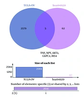 Network-Based Bioinformatics Analysis Reveals Adipocytokine Signaling Pathway-Related RNA-Binding Proteins as Potential Candidate Biomarkers in Ovarian Cancer
