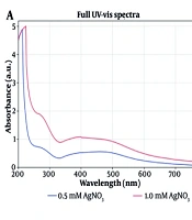 Green-Synthesized Silver Nanoparticles Using Lavandula stricta Delile Exhibit Potent Anti-Inflammatory and Antioxidant Activities in Vivo