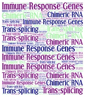 How Do New Immune-Response Genes Arise? Inflammation-Induced Trans-Splicing as a Source of Functional Innovation