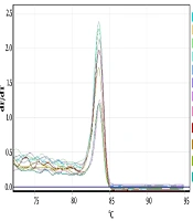 Effect of Photodynamic Therapy on Cyclin D1 and P53 mRNA Levels in Head and Neck Squamous Cell Carcinoma Cell Line