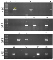 Human Rhinovirus Molecular Epidemiology and Genotyping in Iranian Military Trainees with Acute Respiratory Symptoms