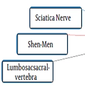 The Effect of a Course of Swiss Ball Training and Ear Acupuncture on Pain and Endurance of Trunk Muscles in People with Low Back Pain