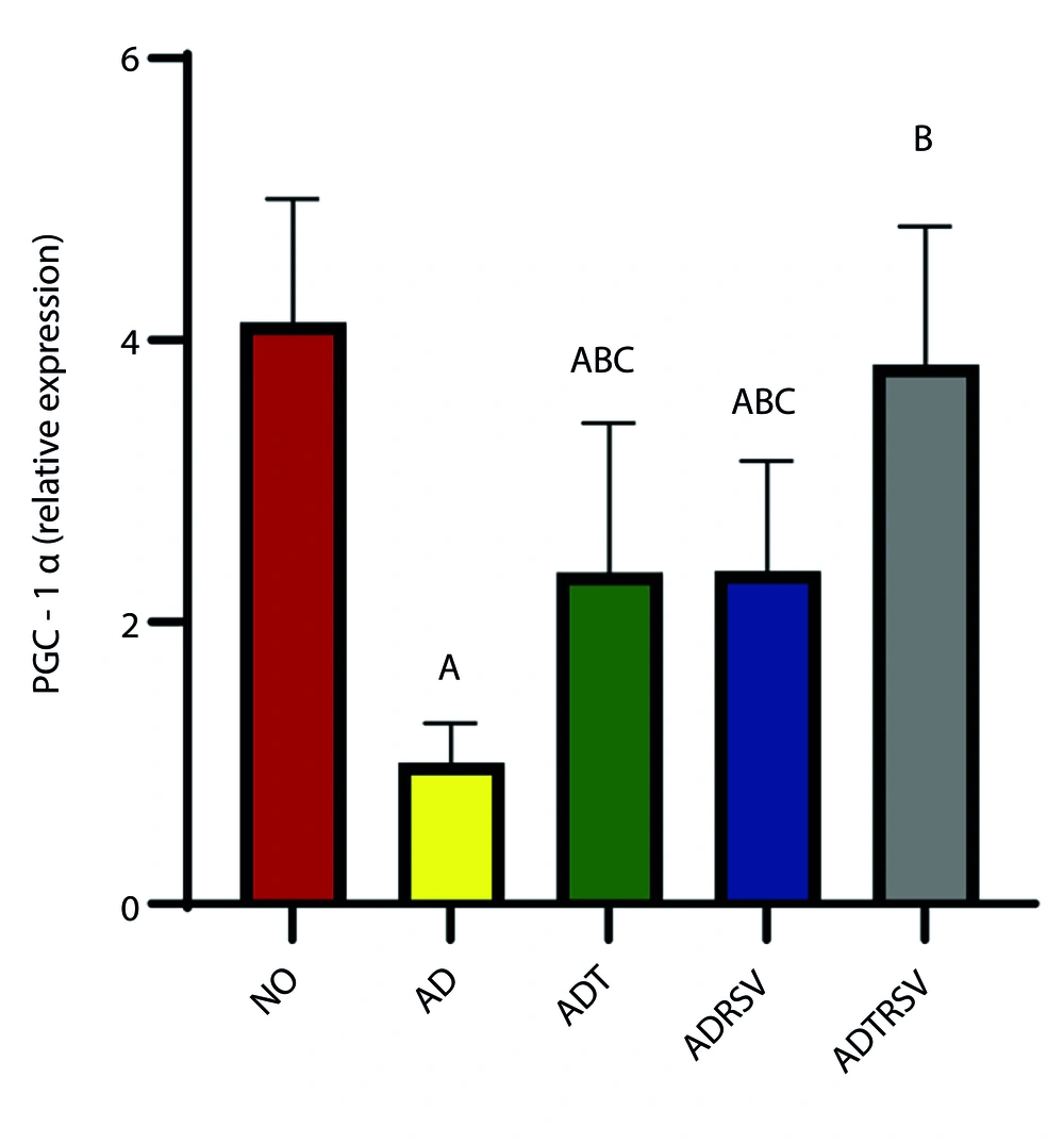 Hippocampal PGC-1α expression in different groups by one-way analysis of variance (P < 0.05). A, difference from NO; B, difference from AD; C, difference from ADTRSV. Abbreviations: NO, normal; AD, Alzheimer's; ADT, Alzheimer's-training; ADRSV, Alzheimer's-resveratrol; ADTRSV Alzheimer's-training-resveratrol. Hippocampal PGC-1α expression in different groups by one-way analysis of variance (P < 0.05). A, difference from NO; B, difference from AD; C, difference from ADTRSV. Abbreviations: NO, normal; AD, Alzheimer's; ADT, Alzheimer's-training; ADRSV, Alzheimer's-resveratrol; ADTRSV Alzheimer's-training-resveratrol.