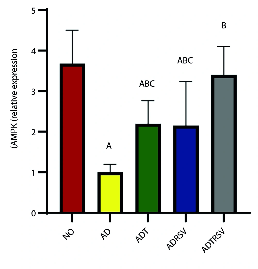 Hippocampal AMPK expression in different groups by one-way analysis of variance (P < 0.05). A, difference from NO; B, difference from AD; C, difference from ADTRSV. Abbreviations: NO, normal; AD, Alzheimer's; ADT, Alzheimer's-training; ADRSV, Alzheimer's-resveratrol; ADTRSV Alzheimer's-training-resveratrol. Hippocampal AMPK expression in different groups by one-way analysis of variance (P < 0.05). A, difference from NO; B, difference from AD; C, difference from ADTRSV. Abbreviations: NO, normal; AD, Alzheimer's; ADT, Alzheimer's-training; ADRSV, Alzheimer's-resveratrol; ADTRSV Alzheimer's-training-resveratrol.