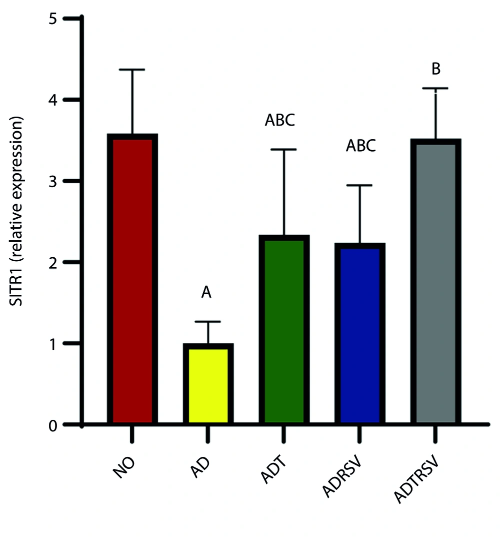 Hippocampal SIRT1 expression in different groups by one-way analysis of variance (P < 0.05). A, difference from NO; B, difference from AD; C, difference from ADTRSV. Abbreviations: NO, normal; AD, Alzheimer's; ADT, Alzheimer's-training; ADRSV, Alzheimer's-resveratrol; ADTRSV Alzheimer's-training-resveratrol. Hippocampal SIRT1 expression in different groups by one-way analysis of variance (P < 0.05). A, difference from NO; B, difference from AD; C, difference from ADTRSV. Abbreviations: NO, normal; AD, Alzheimer's; ADT, Alzheimer's-training; ADRSV, Alzheimer's-resveratrol; ADTRSV Alzheimer's-training-resveratrol.