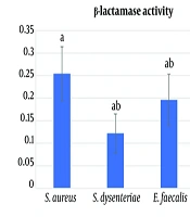 Phytochemical Profiling and Antibacterial Potential of Terminalia chebula from Southern Iran Against β-Lactam-Resistant Gastrointestinal and Nosocomial Pathogens