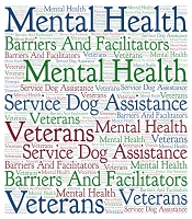 Barriers and Facilitators to Psychiatric Service Dog Handler Training Among Veterans with PTSD: A National Qualitative Study