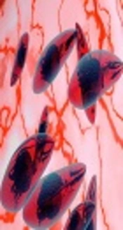 Cover image of the article: Evaluation of the Plasma Level of Fibrinogen in the First Trimester in Mothers with Toxoplasmosis