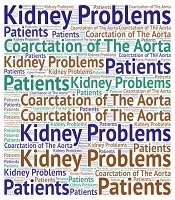 Cover image of the article: One Gram of Prevention Is Worth a Kilogram of Cure: Preventing Kidney Problems in Patients with Coarctation of the Aorta