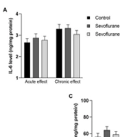 Effect of South Sulawesi Propolis in Sevoflurane Anesthesia-Induced Rat Model During Weaning Period: Study Levels of IL-6, TNF⍺, IL-10, and PSD-95 of the Prefrontal Cortex