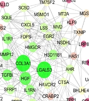 Network Analysis of Ropivacaine Effects on Mesenchymal Stem Cells Gene Expression Change