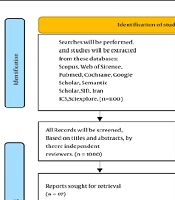 The Effect of Ketamine Administration on the Incidence of Delirium After Coronary Artery Bypass Graft Surgery: A Scoping Review