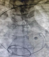 Cover image of the article: Non-punitive Approach in Patient Safety Program