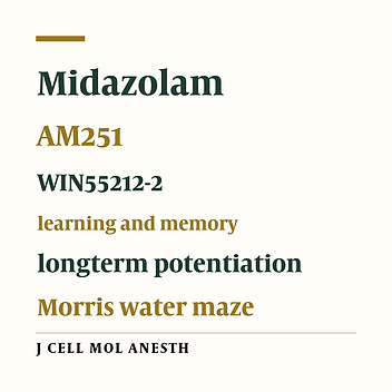 Midazolam-induced learning and memory impairment is modulated by cannabinoid CB1 receptor agonist and antagonist