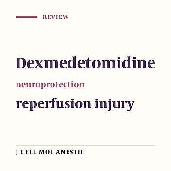 Dexmedetomidine Mechanism of Action: an update