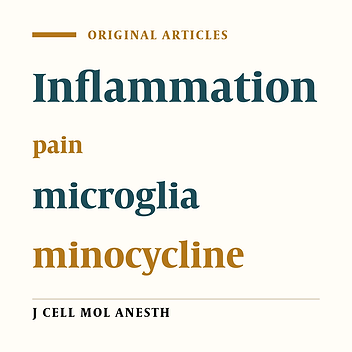 Microglia are involved in pain related behaviors during the acute and chronic phase of arthritis inflammation