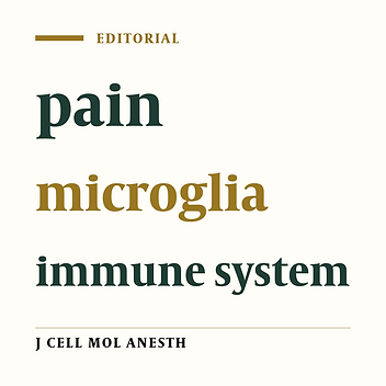 Activation of Microglial Cells: the Bridge between the Immune System and Pain in Central Nervous System