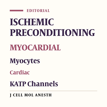 Ischemic Preconditioning in Cardiac Cells: from Bench to Bedside