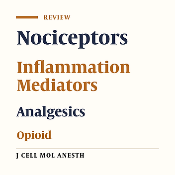 Immune and Opioid system interaction in pain modulation