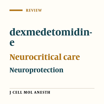 Dexmedetomidine in Neurocritical Care