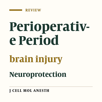 Neuroprotective Strategies in the Perioperative Period: A Systematic Review