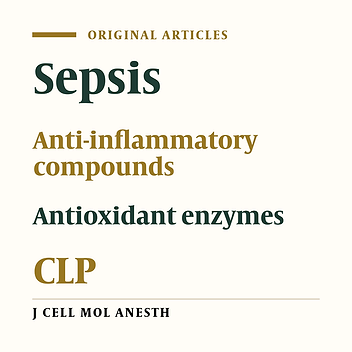 Preventive Effects of NSAIDs on Lung Tissue Oxidative Damage in an Animal Sepsis Model