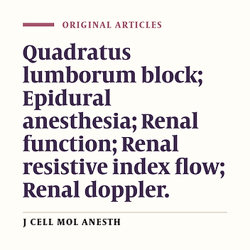 The Analgesic Effect of Bilateral Quadratus Lumborum Block and its Postoperative Implication On Kidney Function in Colorectal Surgery: A Comparative Randomized Control Trial Study With Epidural Anesthesia