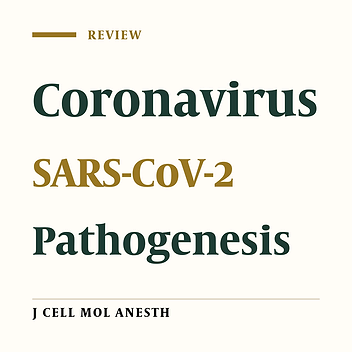 The Pathogenesis of Coronavirus Disease 2019 (COVID-19): COVID-19 pathogenesis