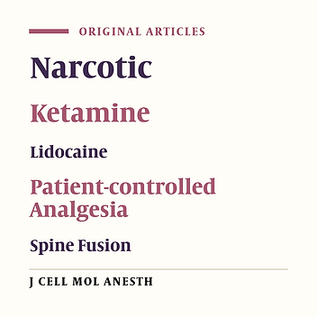Intravenous Lidocaine Infusion with Single Low-Dose Ketamine as an Adjuvant to General Anesthesia in Posterior Spine Fusion