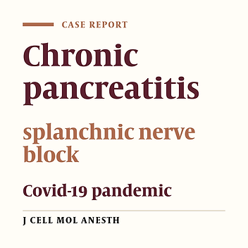 Splanchnic Nerve Block as a Bridge Therapy in Painful Chronic Pancreatitis During COVID 19 Pandemic: A Case Report