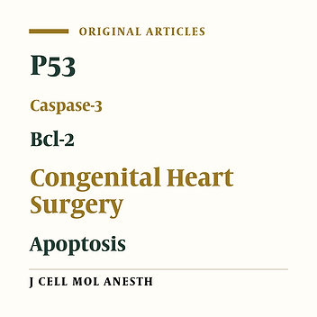 Expression Profiles of P53, Caspase-3 And Bcl-2 in Patients Undergoing Congenital Heart Corrective surgery: Combined Effects Of Anesthesia And Surgery